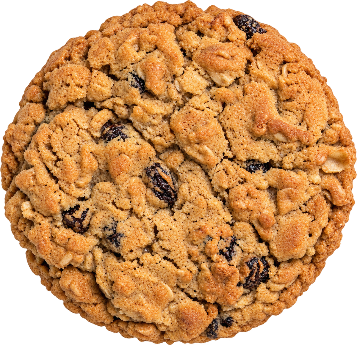Oatmeal Raisin