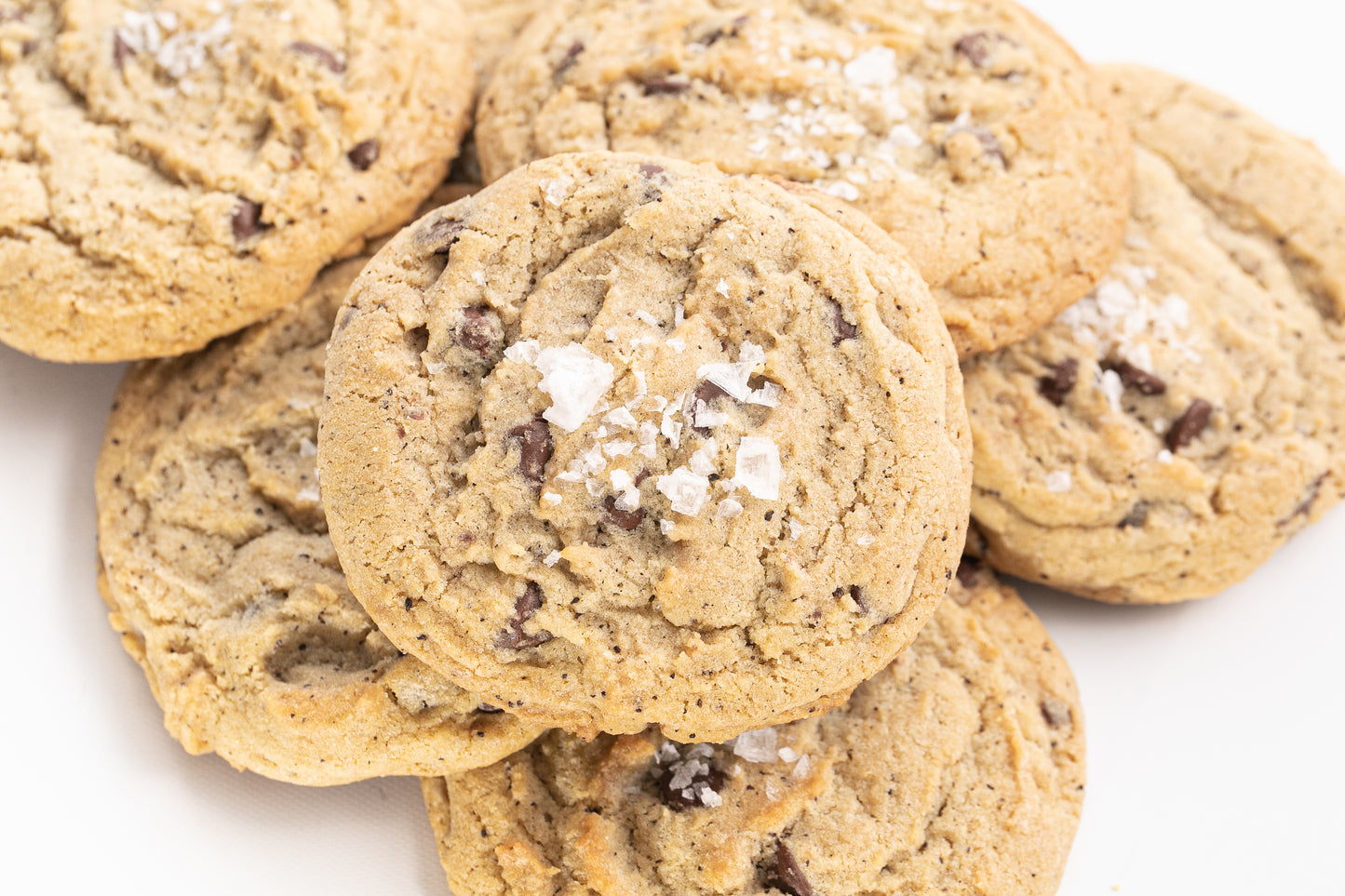 Chocolate Chip Cookie