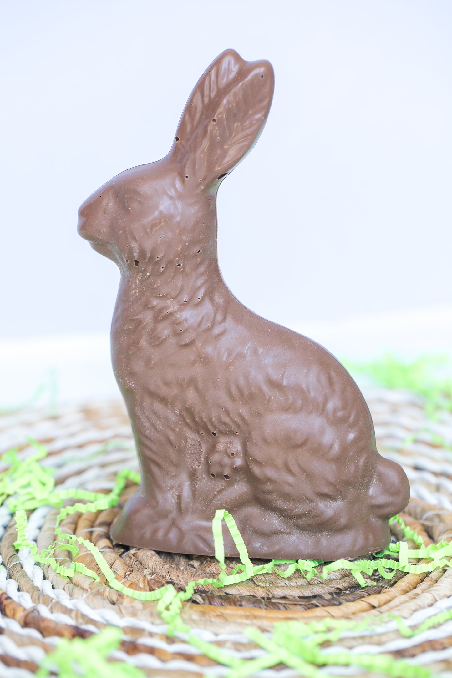 1 LB. Chocolate Bunny