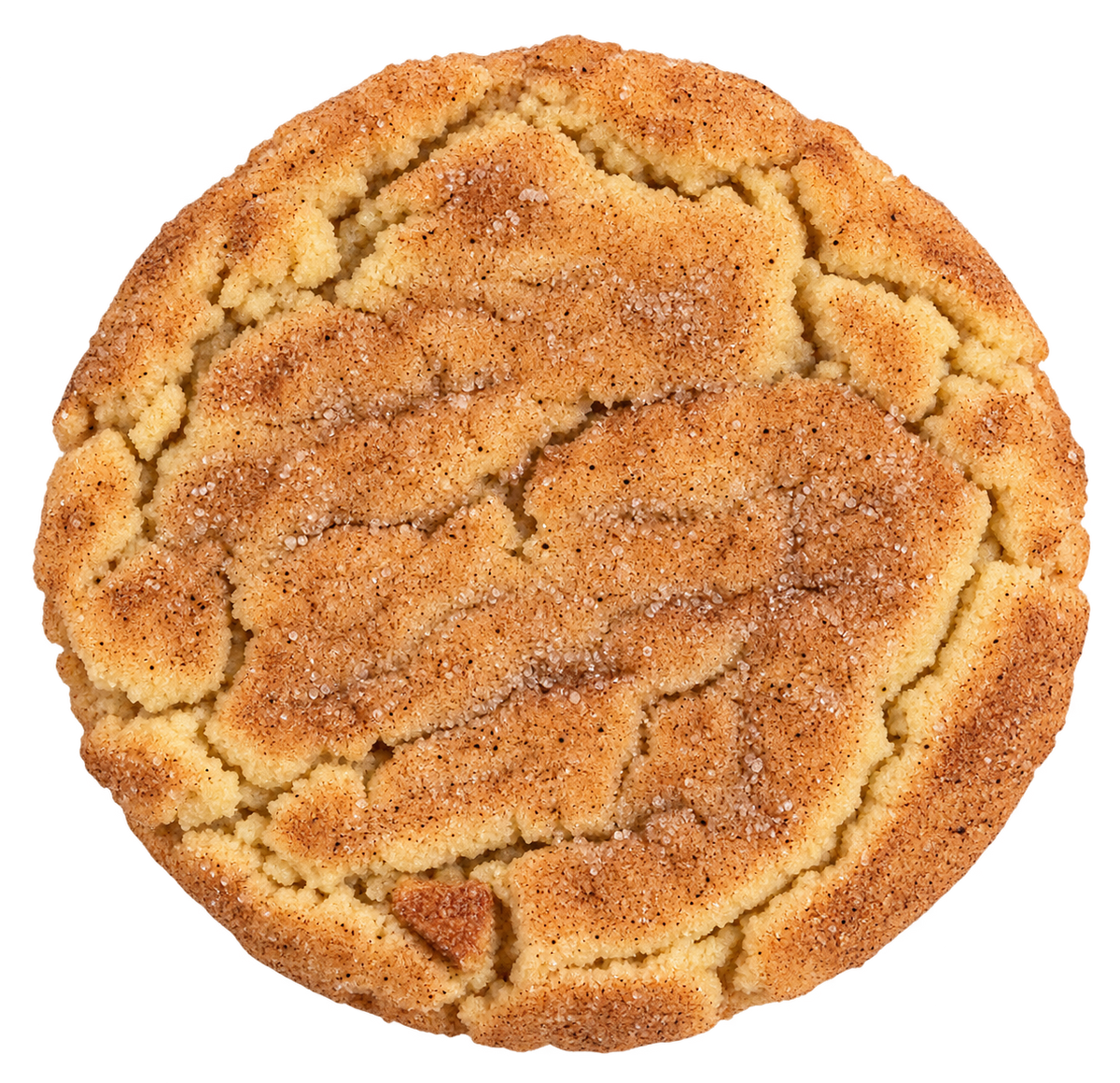 Snickerdoodle