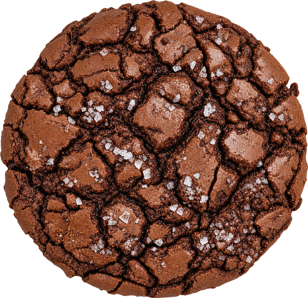 Chocolate Brownie Cookie